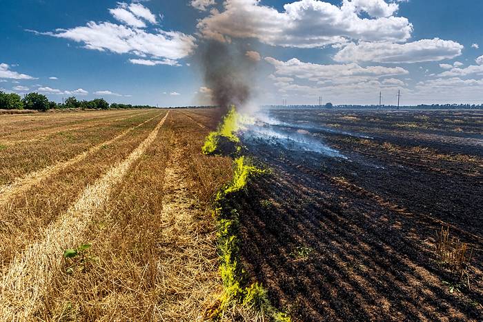 A stubble fire burning along a line across a field, with blackened ground on one side and untouched stubble on the other.
