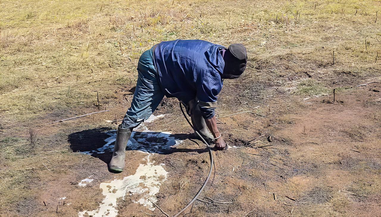 A technician drives a pneumatic lance into smouldering ground outside Johannesburg, delivering Hydra X below the surface.